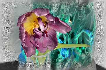 06 Handmade Tulpenfieber 2022